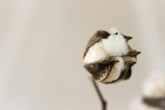 Essentials fra Maincph.dk – lavet i kæmmet bomuld for ekstra blødhed, holdbarhed og komfort. Et naturligt valg, der føles lige så godt som det ser ud.